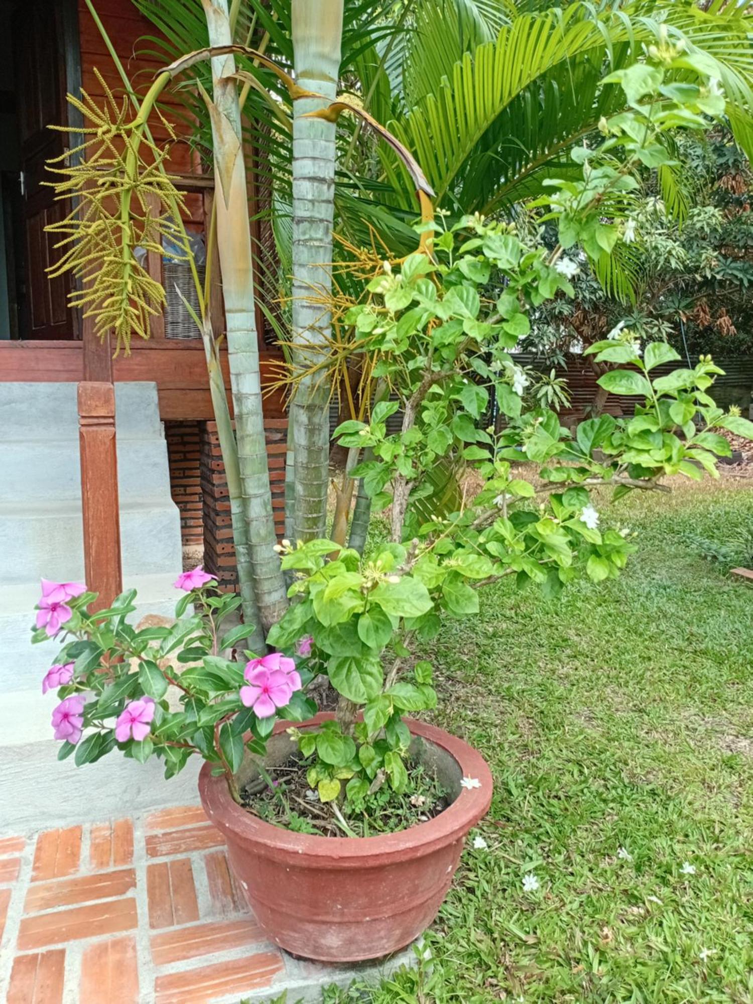 The Hidden Oasis Bungalows Kampot Buitenkant foto