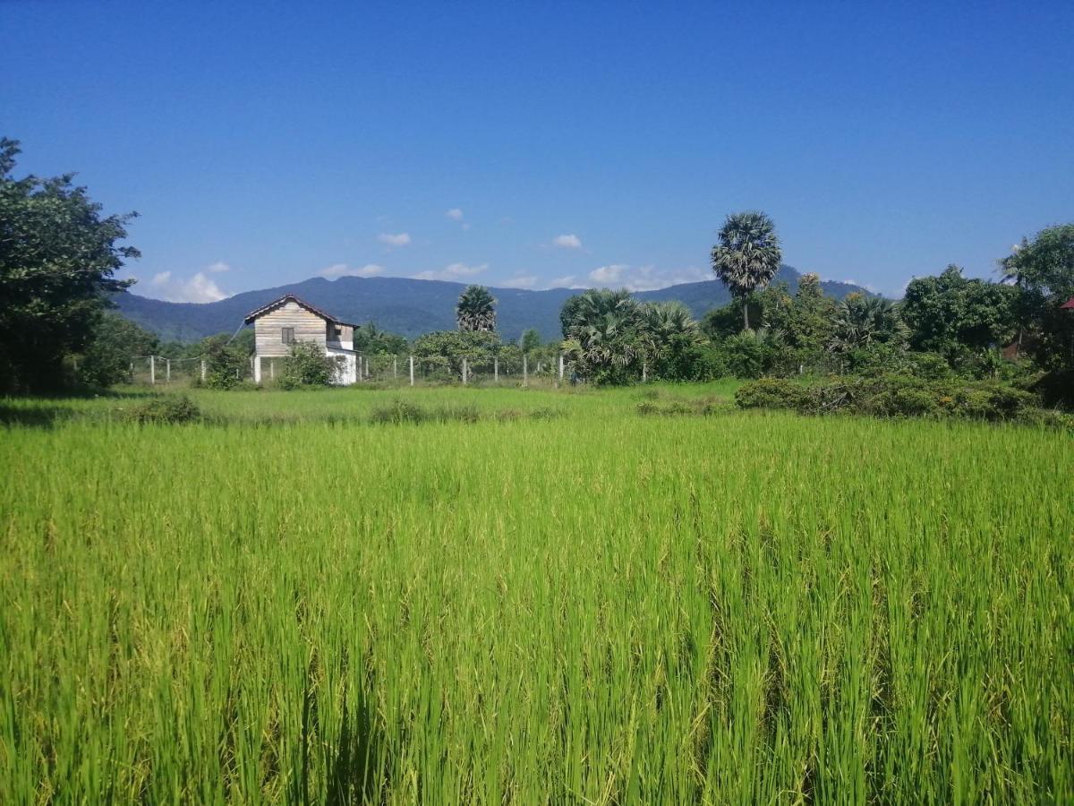 The Hidden Oasis Bungalows Kampot Buitenkant foto